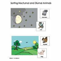 Nocturnal Animals Activities, Games, and Printables