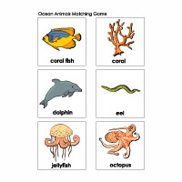 preschool and kindergarten ocean animals game