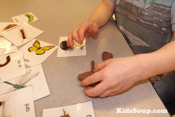 preschool bugs fine motor skills activity and printables