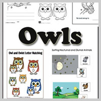 Preschool Kindergarten Owls Activities and Crafts