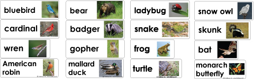 Animals in Winter word wall cards and activities for preschool