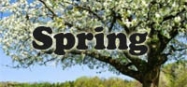 Spring themes for preschool and kindergarten