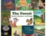 Preschool forest animals books, rhymes, and songs