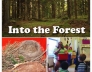 Preschool forest activities, crafts, and lessons